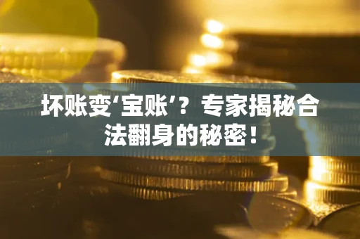 北京坏账变‘宝账’？专家揭秘合法翻身的秘密！