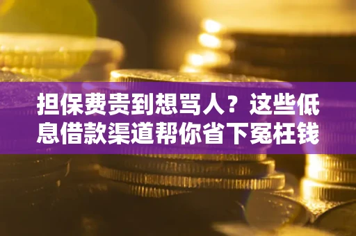 北京担保费贵到想骂人？这些低息借款渠道帮你省下冤枉钱