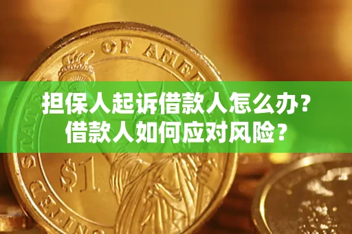 北京担保人起诉借款人怎么办？借款人如何应对风险？