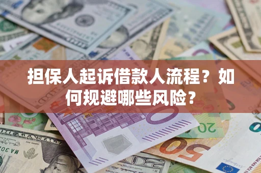 北京担保人起诉借款人流程？如何规避哪些风险？