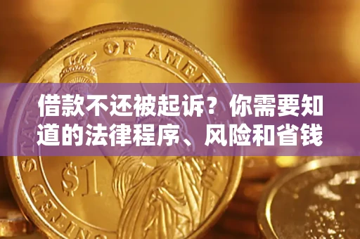 北京借款不还被起诉？你需要知道的法律程序、风险和省钱技巧