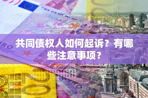 北京共同债权人如何起诉？有哪些注意事项？